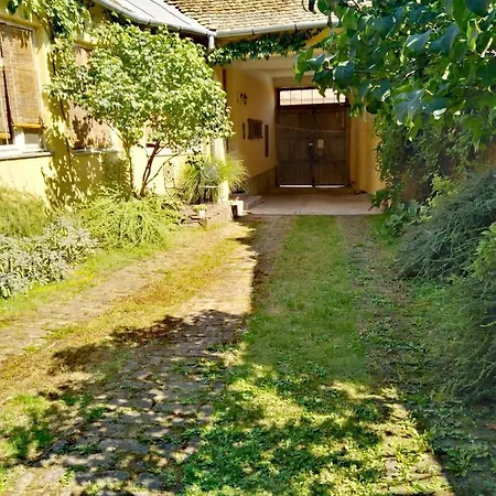 Somin Lagum Vila Guest house Sremski Karlovci