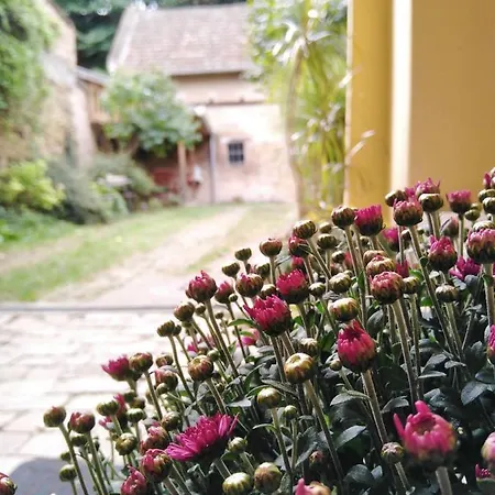 Guest house Somin Lagum Vila