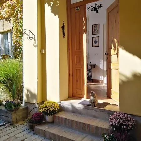 Guest house Somin Lagum Vila Sremski Karlovci